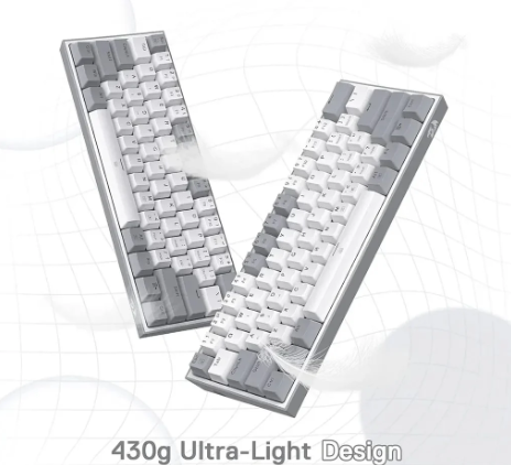 Redragon FIZZ K617 60% RGB Mechanical Keyboard with Red Switches (White & Gray)